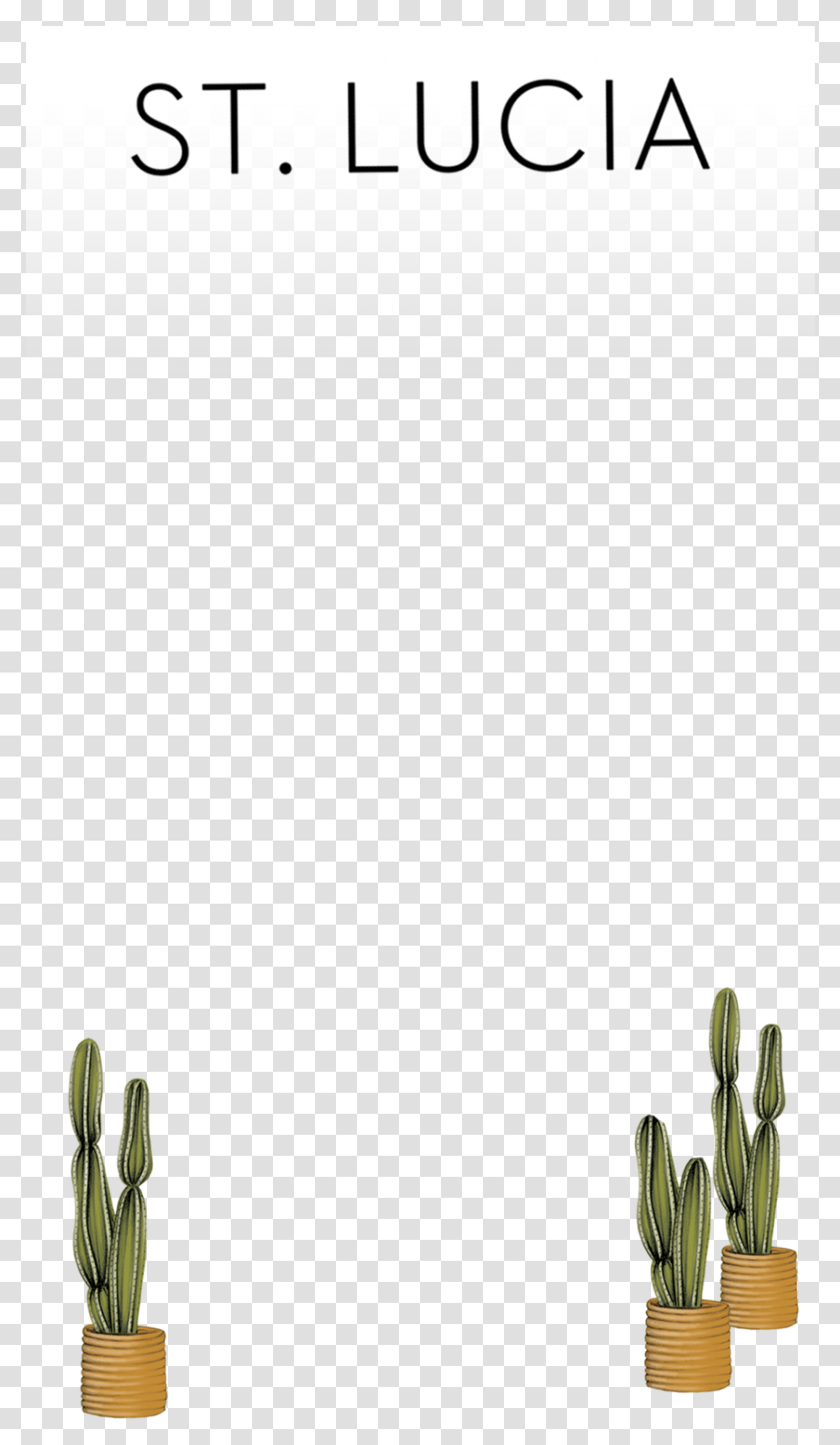 Snapchat Filters San Pedro Cactus, Plant, Architecture, Building Transparent Png
