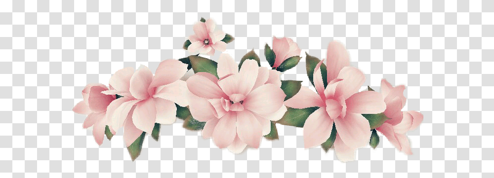 Snapchat Flower Crown Snapchat Flower Filter, Petal, Plant, Dahlia, Anther Transparent Png