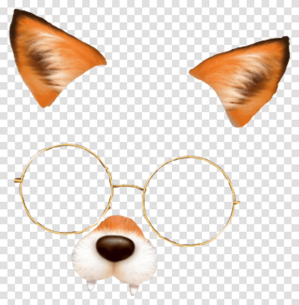 Snapchat Overlay Snow Fox Filter, Goggles, Accessories, Accessory, Person Transparent Png