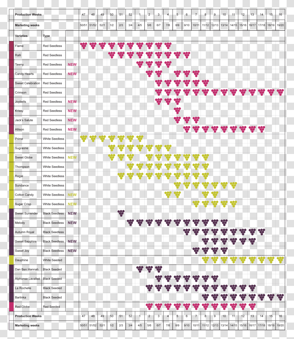 Snapchat, Plot, Number Transparent Png