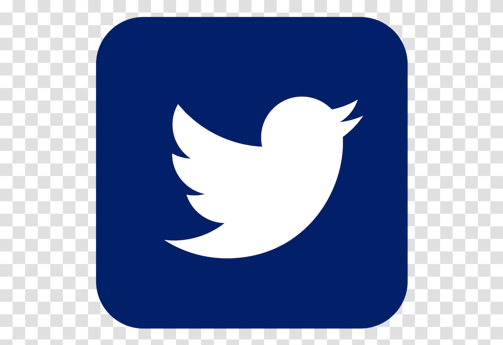 Snapchat Twitter, Logo, Trademark, Shark Transparent Png