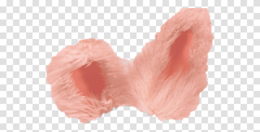 Snapchatfilter Bunny Pink Sticker By Fatima Soft, Bird, Animal, Ear, Heel Transparent Png