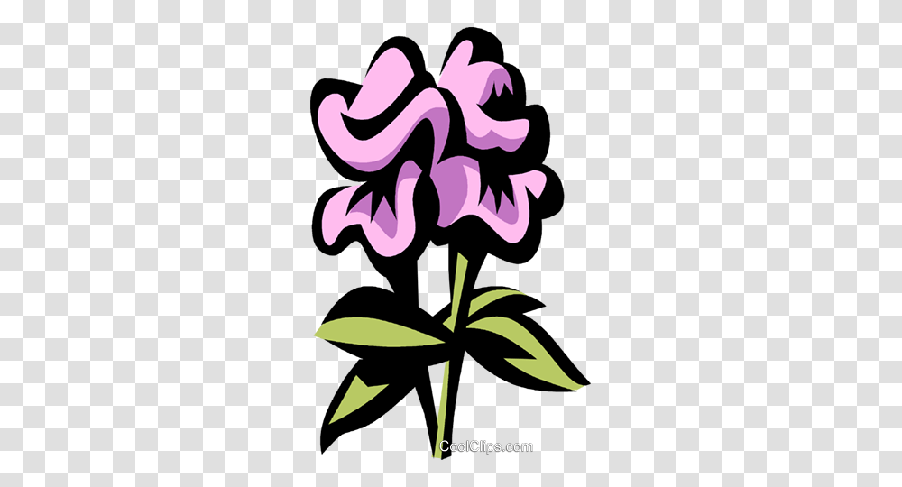Snapdragon Royalty Free Vector Clip Art Illustration, Plant, Flower, Blossom, Petal Transparent Png