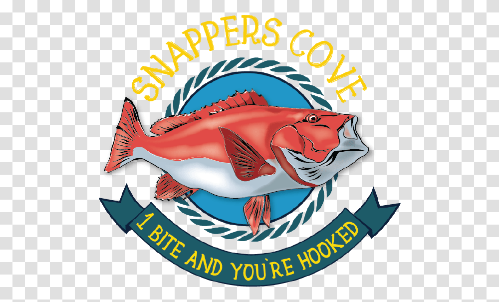 Snapper Cove Ormond, Fish, Animal, Sea Life, Halibut Transparent Png