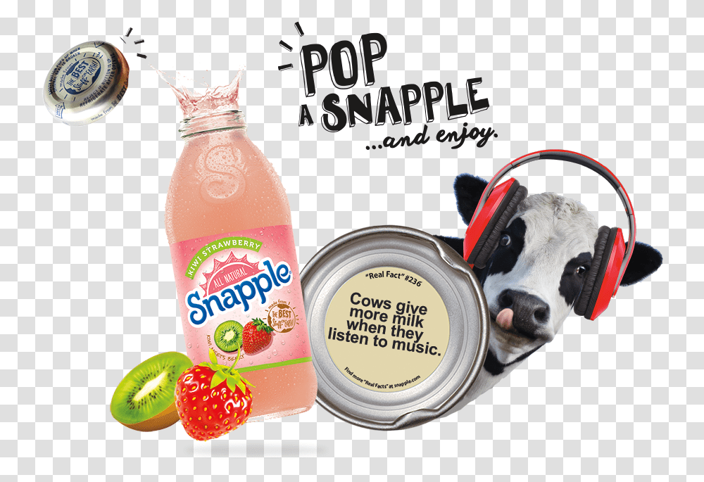 Snapple Kiwi Strawberry Juice Download Plastic Bottle, Beverage, Animal, Food, Mammal Transparent Png