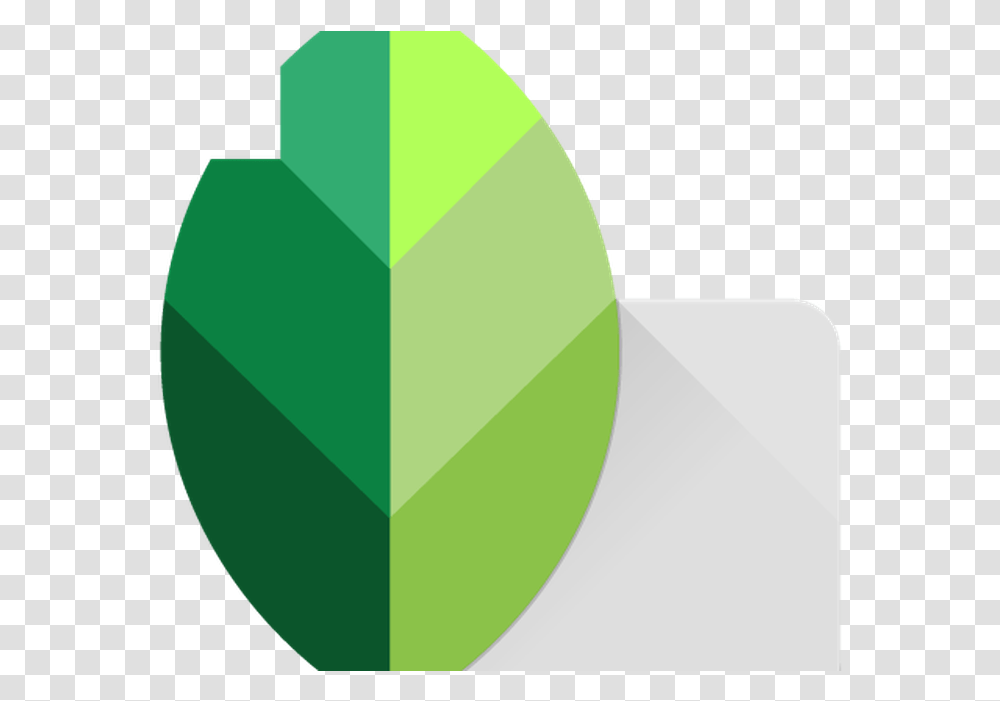Snapseed Apk Snapseed App, Plant, Gemstone, Jewelry, Accessories Transparent Png
