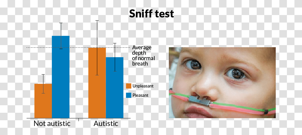 Sniff Test Diagram, Face, Person, Teeth, Mouth Transparent Png