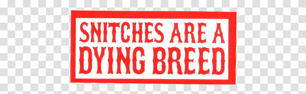 Snitches Are A Dying Breed Bored Of Being Bored Because, Poster, Alphabet, Word Transparent Png