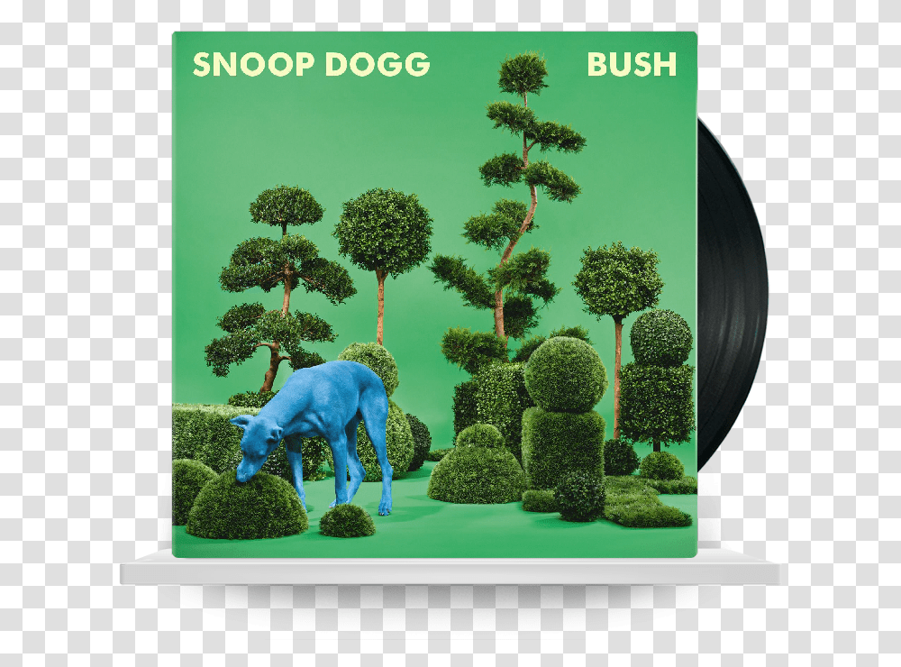 Snoop Dogg Bush Download Snoop Dogg Bush Album Cover, Vegetation, Plant, Moss, Outdoors Transparent Png