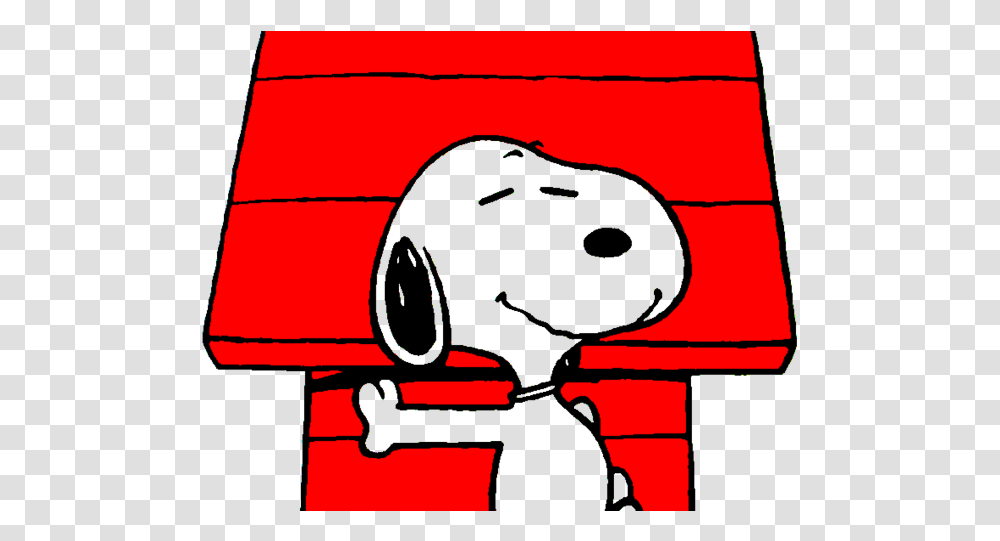 Snoopy, Character, Camera, Electronics, Video Camera Transparent Png