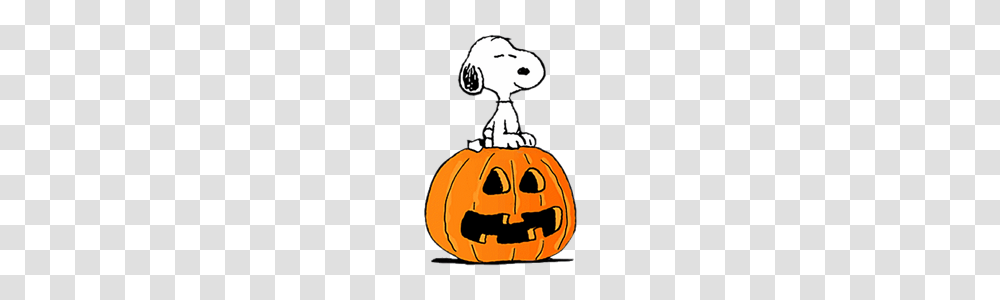 Snoopy, Pumpkin, Vegetable, Plant, Food Transparent Png