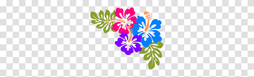 Snorkel Cliparts, Plant, Hibiscus, Flower, Blossom Transparent Png