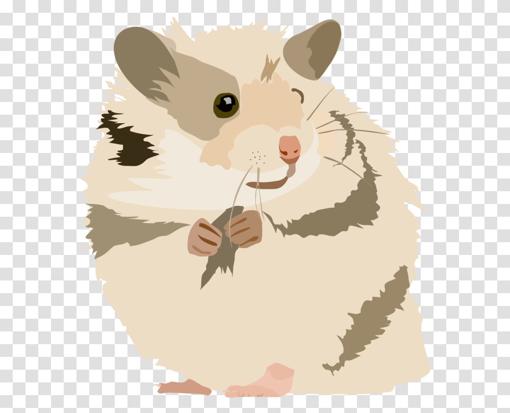Snoutmuridaetail Hamster Clipart, Rodent, Mammal, Animal, Pet Transparent Png