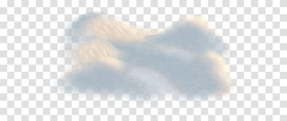 Snow Background Animal, Nature, Outdoors, Ice, Bear Transparent Png