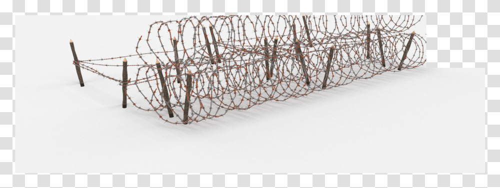 Snow, Barbed Wire, Insect, Invertebrate, Animal Transparent Png