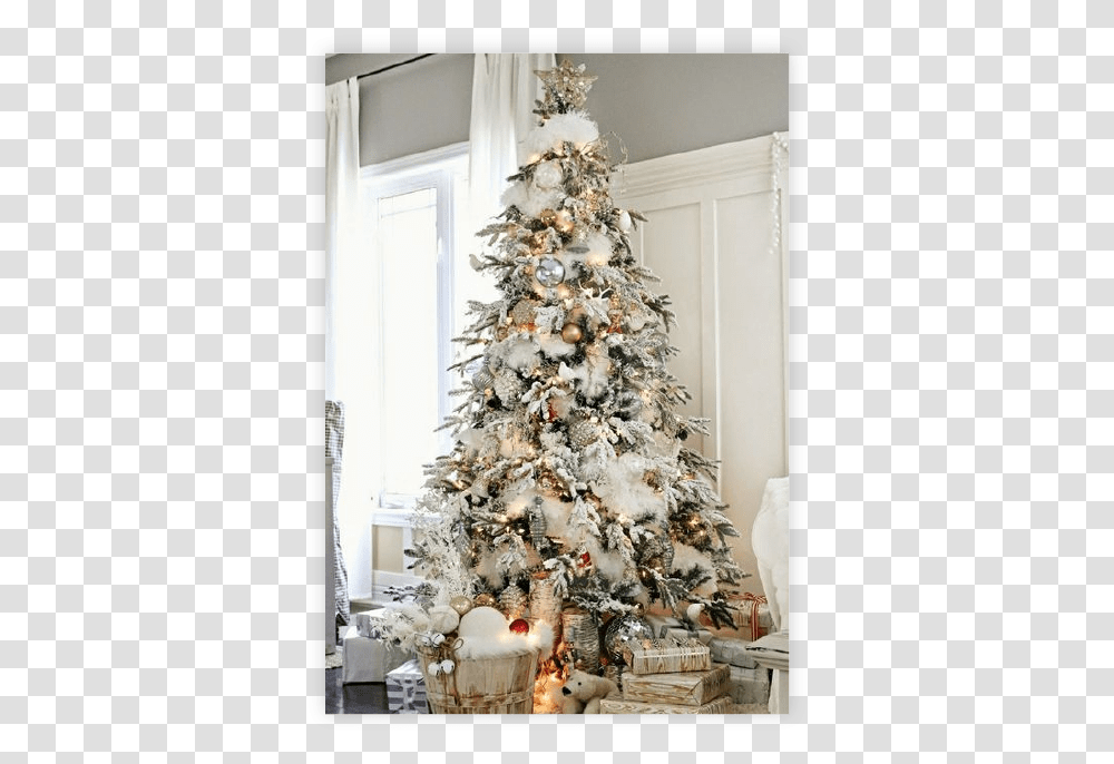 Snow Christmas Tree Ideas, Ornament, Plant Transparent Png