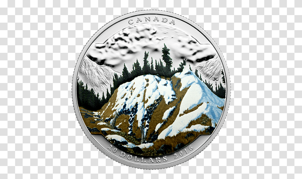 Snow, Coin, Money, Conifer, Tree Transparent Png