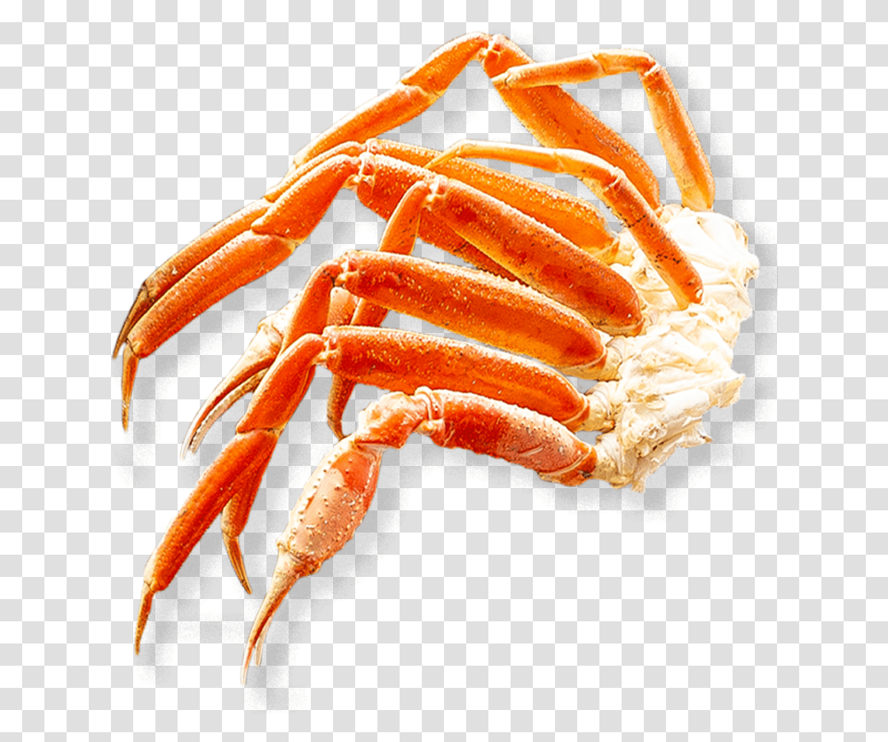 Snow Crab Freshwater Crab, Lobster, Seafood, Sea Life, Animal Transparent Png