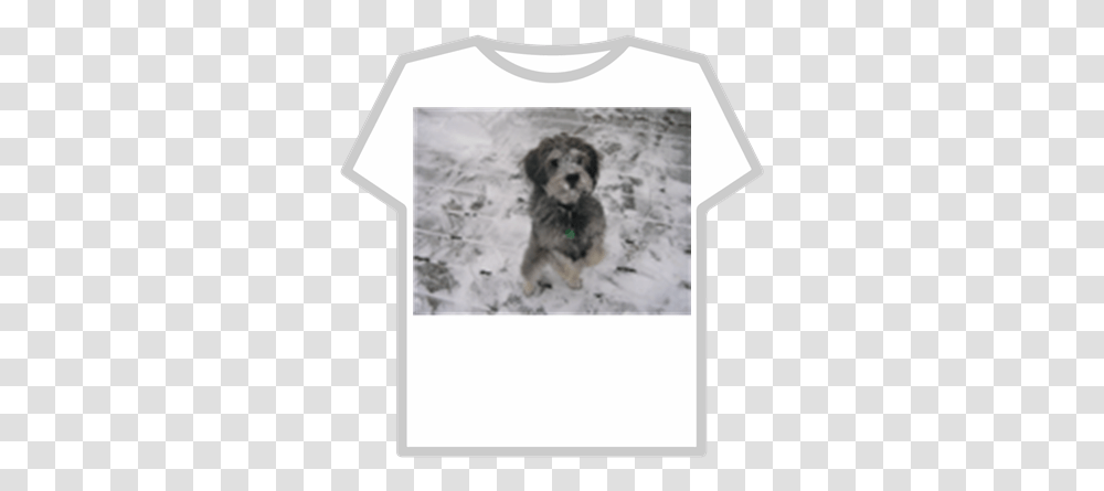 Snow Doggif Roblox Free Supreme T Shirt Roblox, Canine, Mammal, Animal, Pet Transparent Png