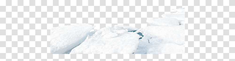 Snow Download Snow, Outdoors, Nature, Ice, Animal Transparent Png