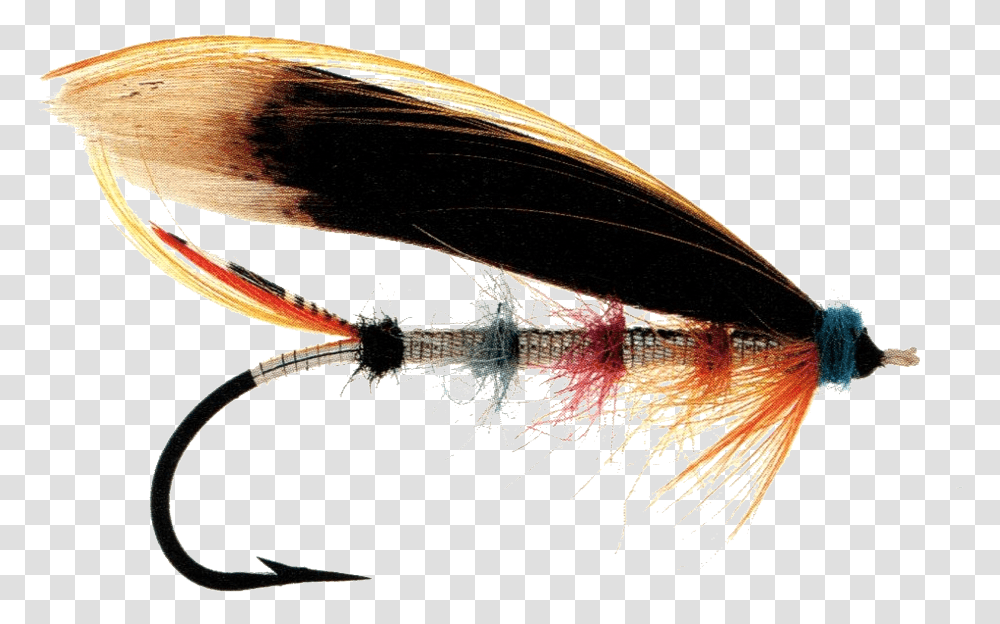 Snow Fly Insect, Helmet, Apparel, Fishing Lure Transparent Png