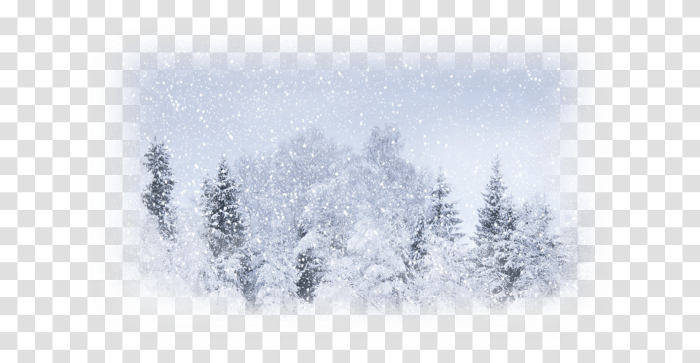 Snow Forest Facebook Cover, Nature, Outdoors, Blizzard, Winter Transparent Png