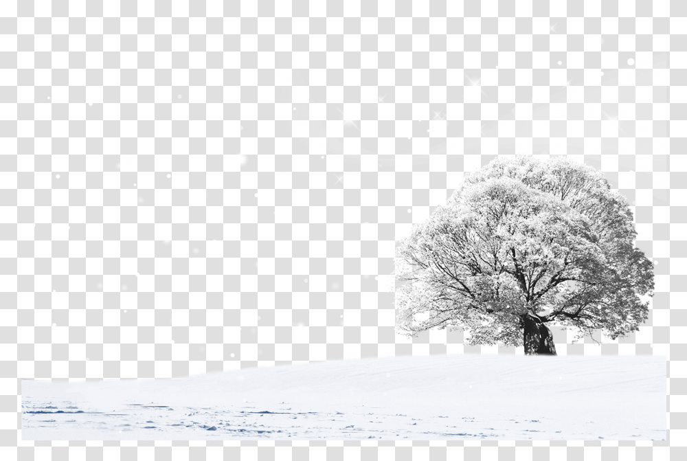 Snow Landscape Design Download Snow, Nature, Outdoors, Tree, Plant Transparent Png