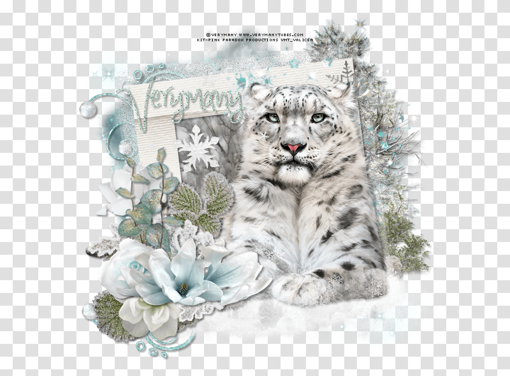 Snow Leopard By Verymany Found Here, Mammal, Animal, Wildlife, Panther Transparent Png
