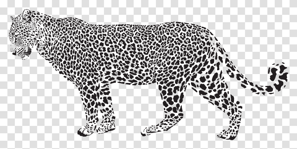 Snow Leopard Cheetah Clip Leopard Black And White, Mammal, Animal, Panther, Wildlife Transparent Png