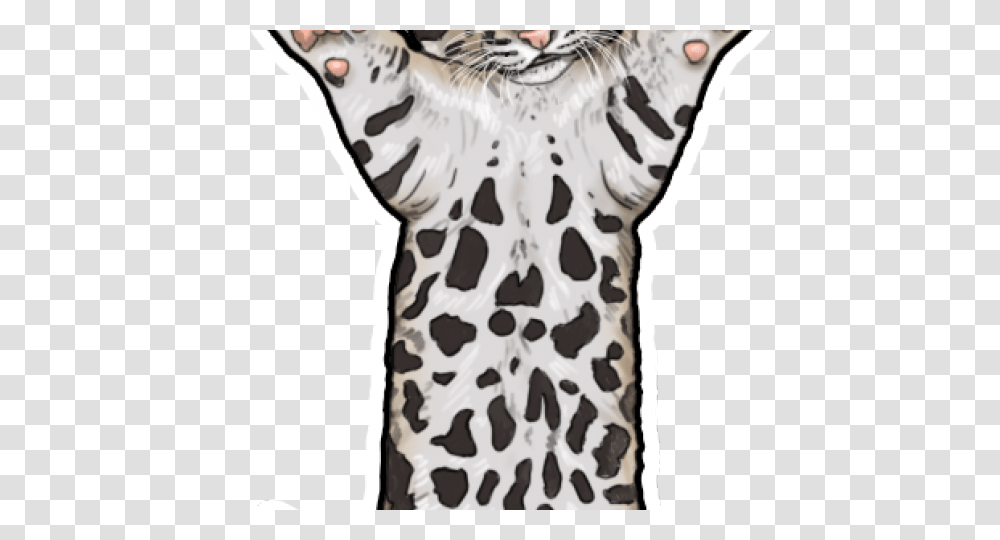 Snow Leopard Clipart Clip Art, Mammal, Animal, Wildlife, Zebra Transparent Png