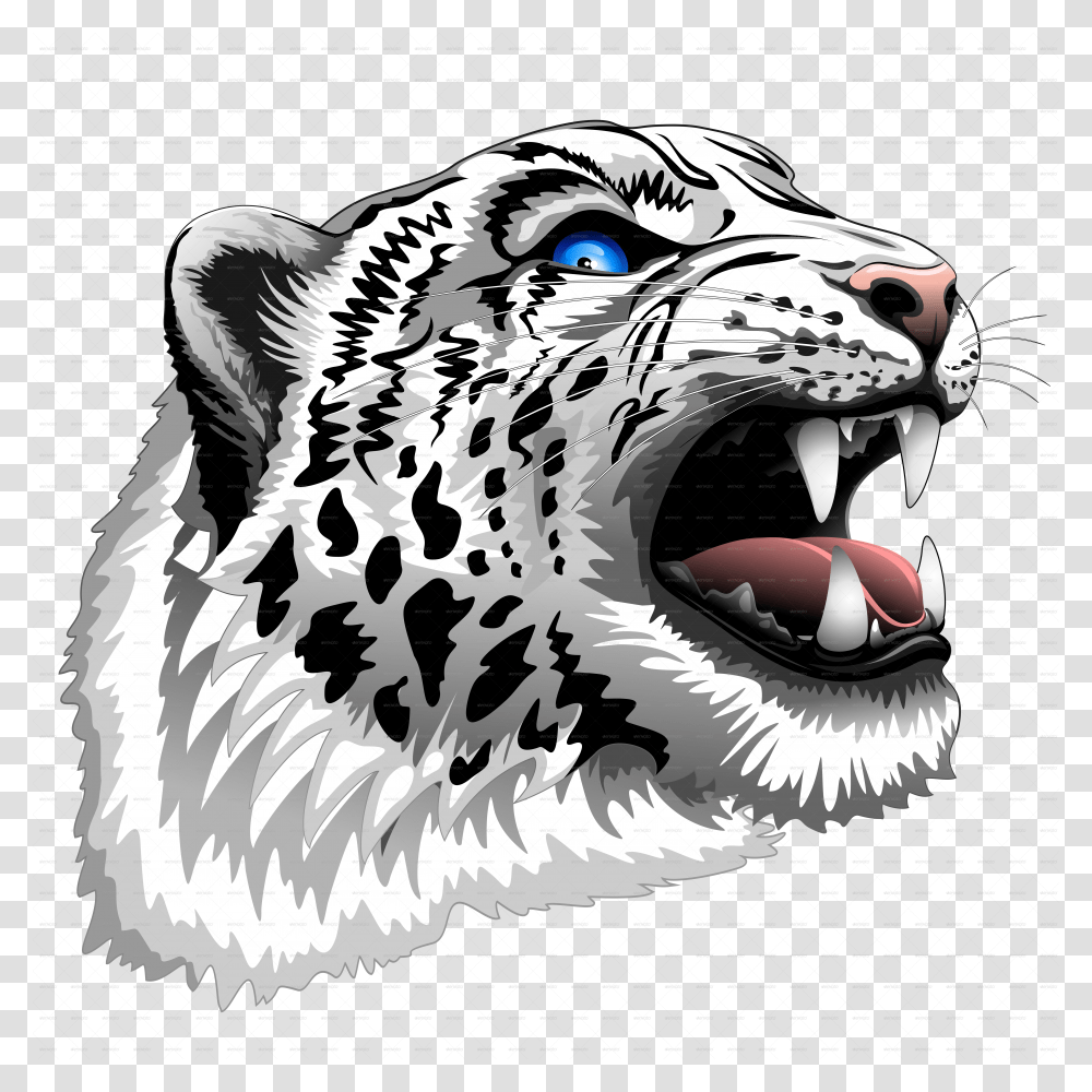 Snow Leopard Head Clipart Transparent Png