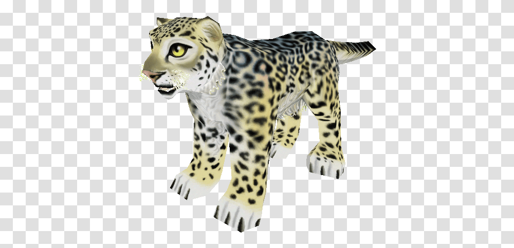 Snow Leopard, Panther, Wildlife, Mammal, Animal Transparent Png