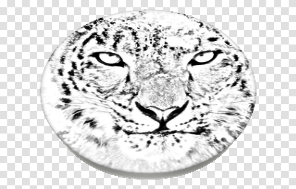 Snow Leopard Popsockets Mac Os X Snow Leopard, Panther, Wildlife, Mammal, Animal Transparent Png