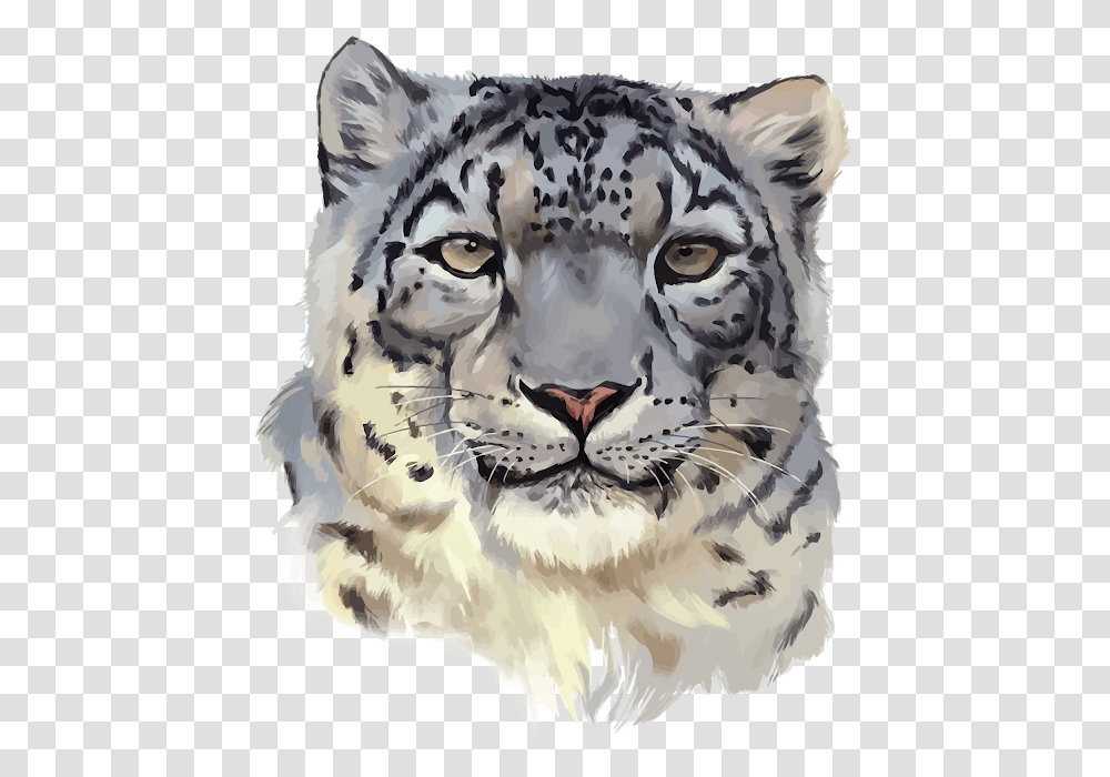 Snow Leopard Snow Leopard Face, Mammal, Animal, Wildlife, Tiger Transparent Png