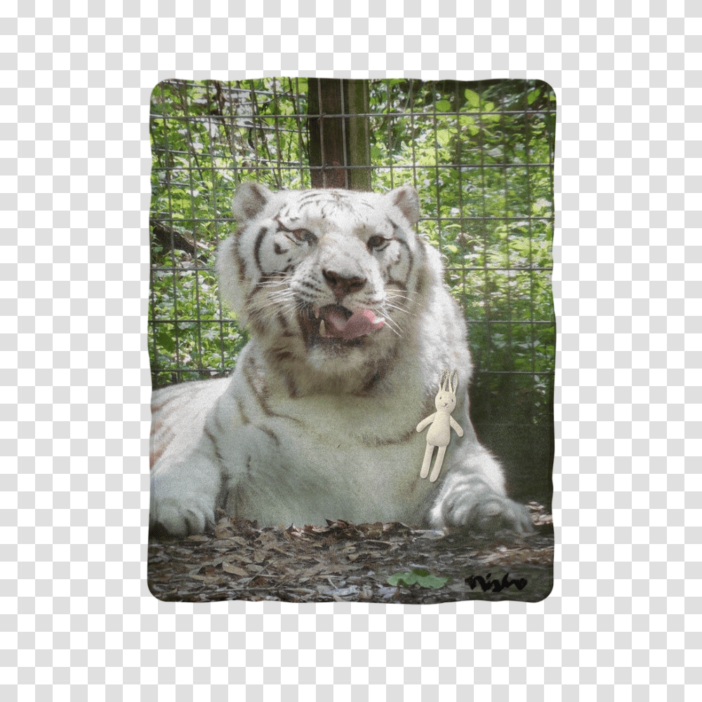 Snow Leopard, Wildlife, Animal, Tiger, Mammal Transparent Png