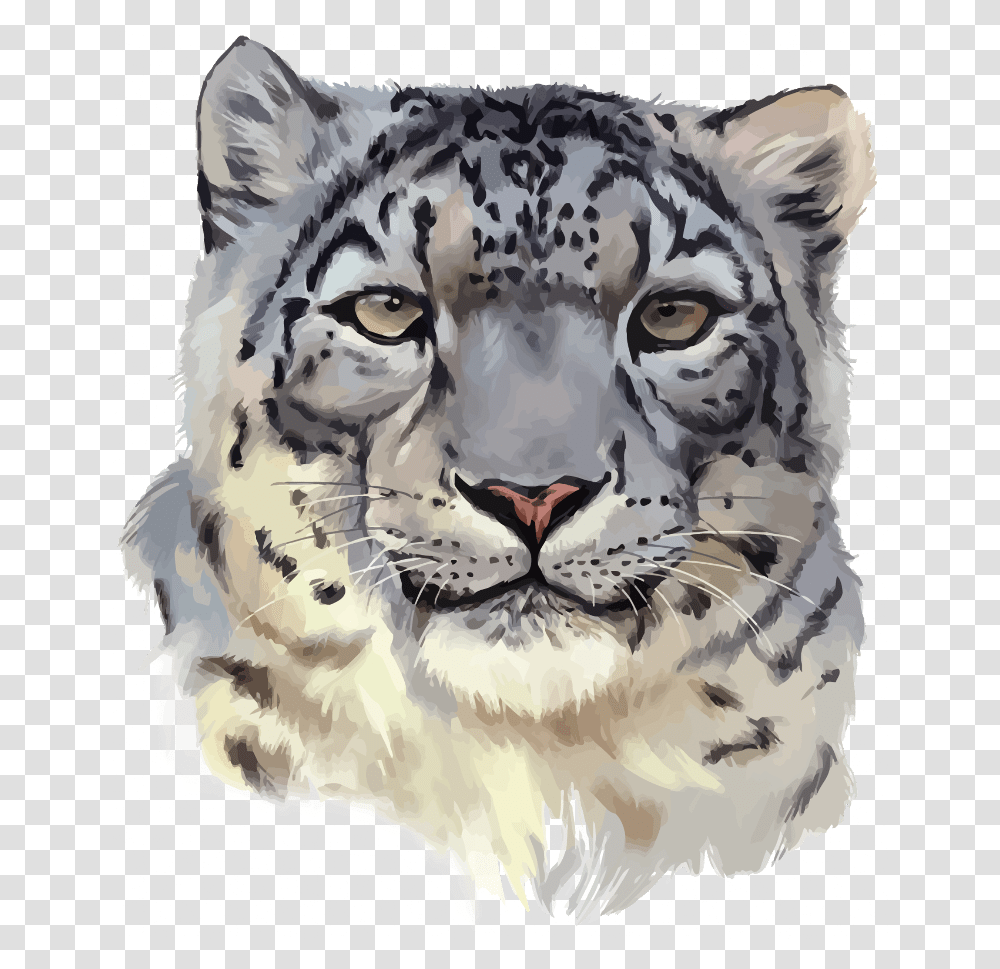 Snow Leopards, Mammal, Animal, Wildlife, Panther Transparent Png