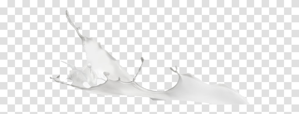 Snow, Milk, Beverage, Drink, Dairy Transparent Png