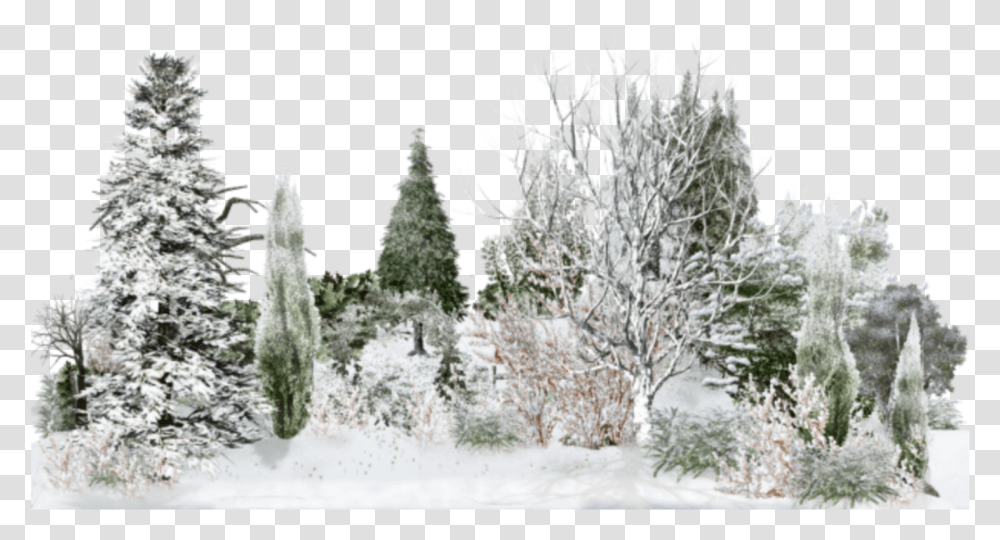 Snow, Nature, Ice, Outdoors, Frost Transparent Png