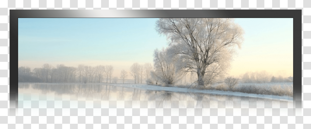 Snow, Nature, Outdoors, Ice, Tree Transparent Png