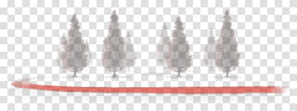 Snow, Nature, Outdoors, Plant, Fireworks Transparent Png