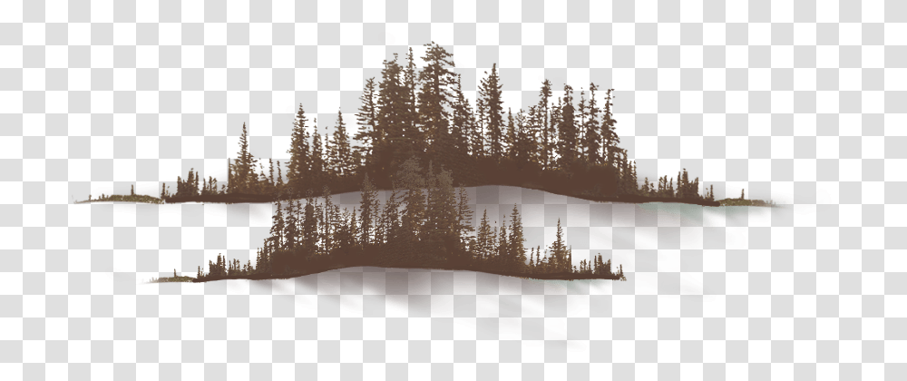 Snow, Nature, Tree, Plant, Outdoors Transparent Png