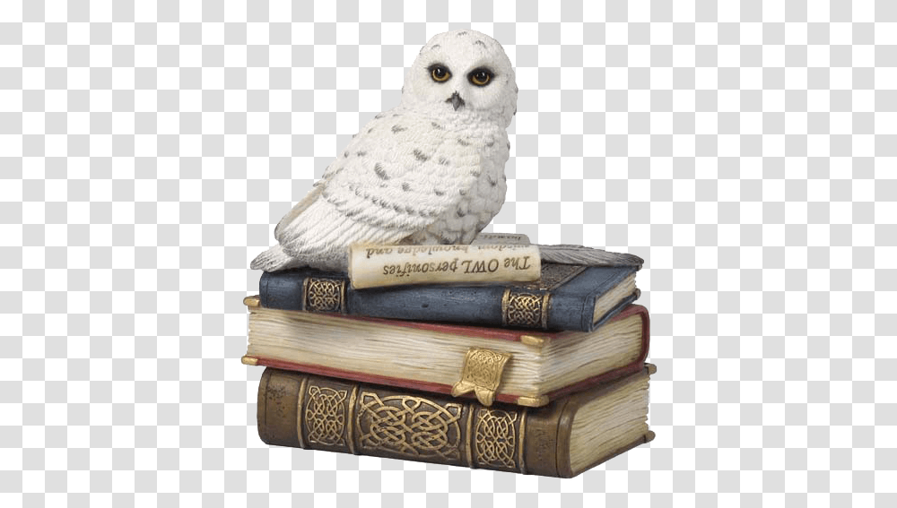 Snow Owl On Books Trinket Box Snowy Owl, Bird, Animal, Novel Transparent Png