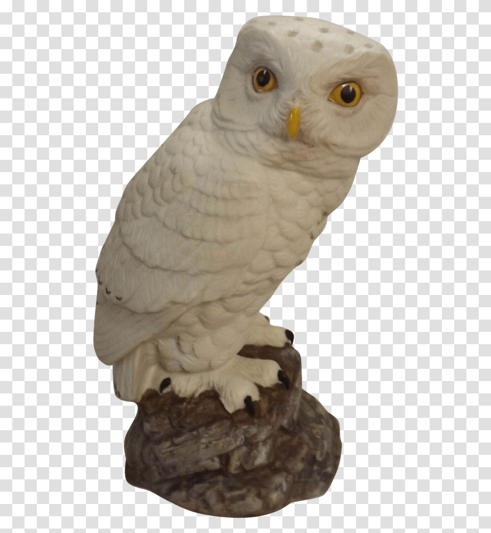 Snow Owl Porcelain Snowy Owl Snowy Owl, Parrot, Bird, Animal, Cockatoo Transparent Png
