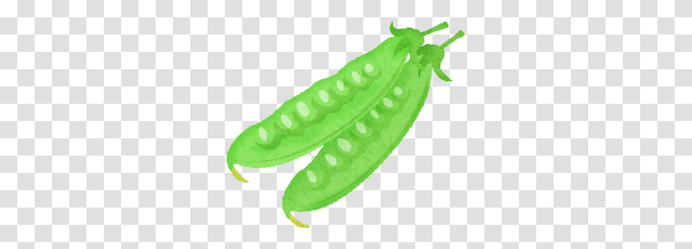 Snow Peas Free Clipart Illustrations, Plant, Vegetable, Food, Cucumber Transparent Png