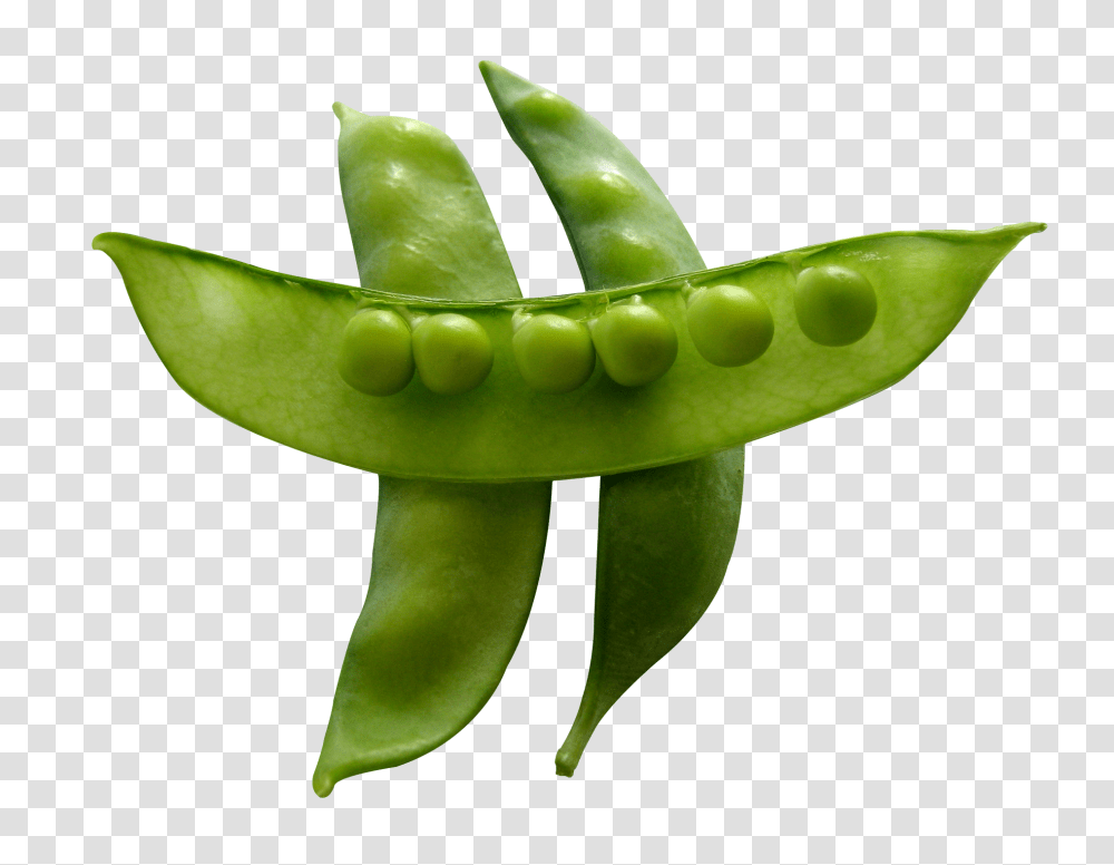 Snow Peas Image, Vegetable, Plant, Food, Toy Transparent Png