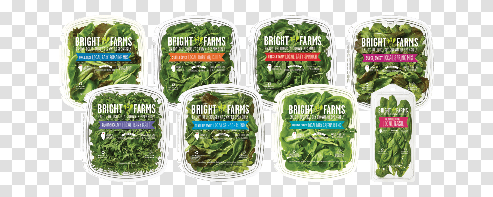 Snow Peas, Plant, Spinach, Vegetable, Food Transparent Png