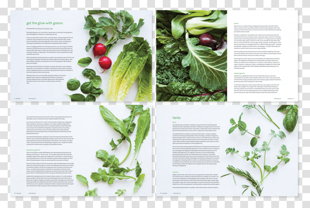 Snow Peas, Plant, Vegetable, Food, Radish Transparent Png