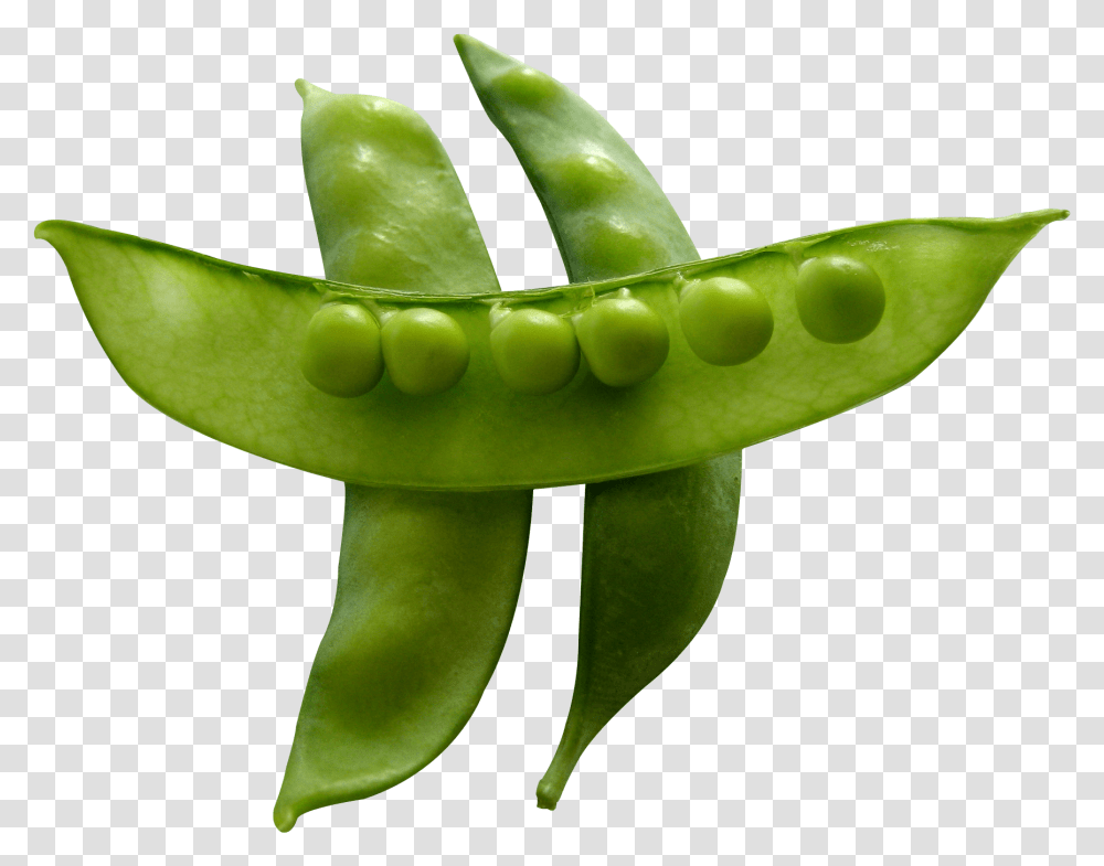 Snow Peas Snow Peas, Plant, Vegetable, Food, Toy Transparent Png