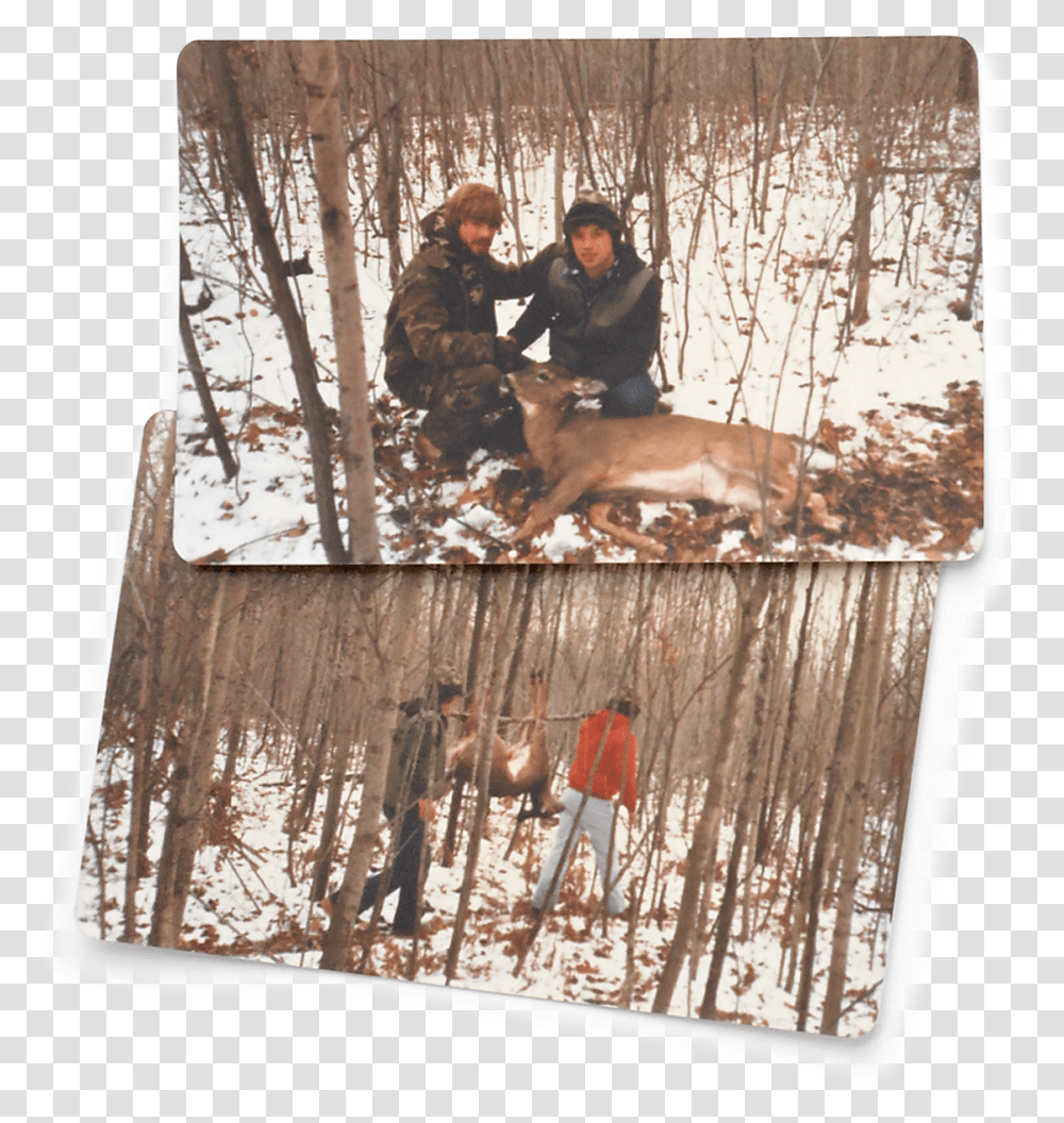 Snow, Person, Human, Deer, Wildlife Transparent Png