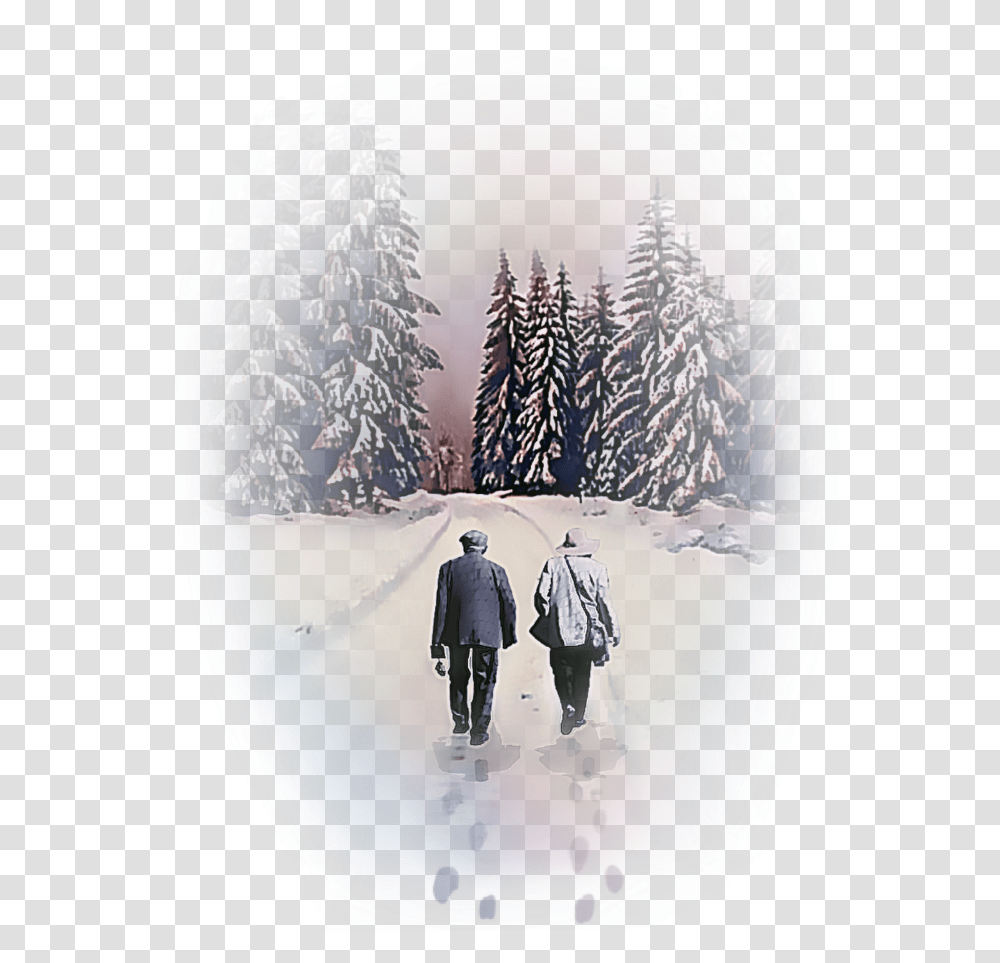 Snow, Person, Nature, Outdoors, Tree Transparent Png